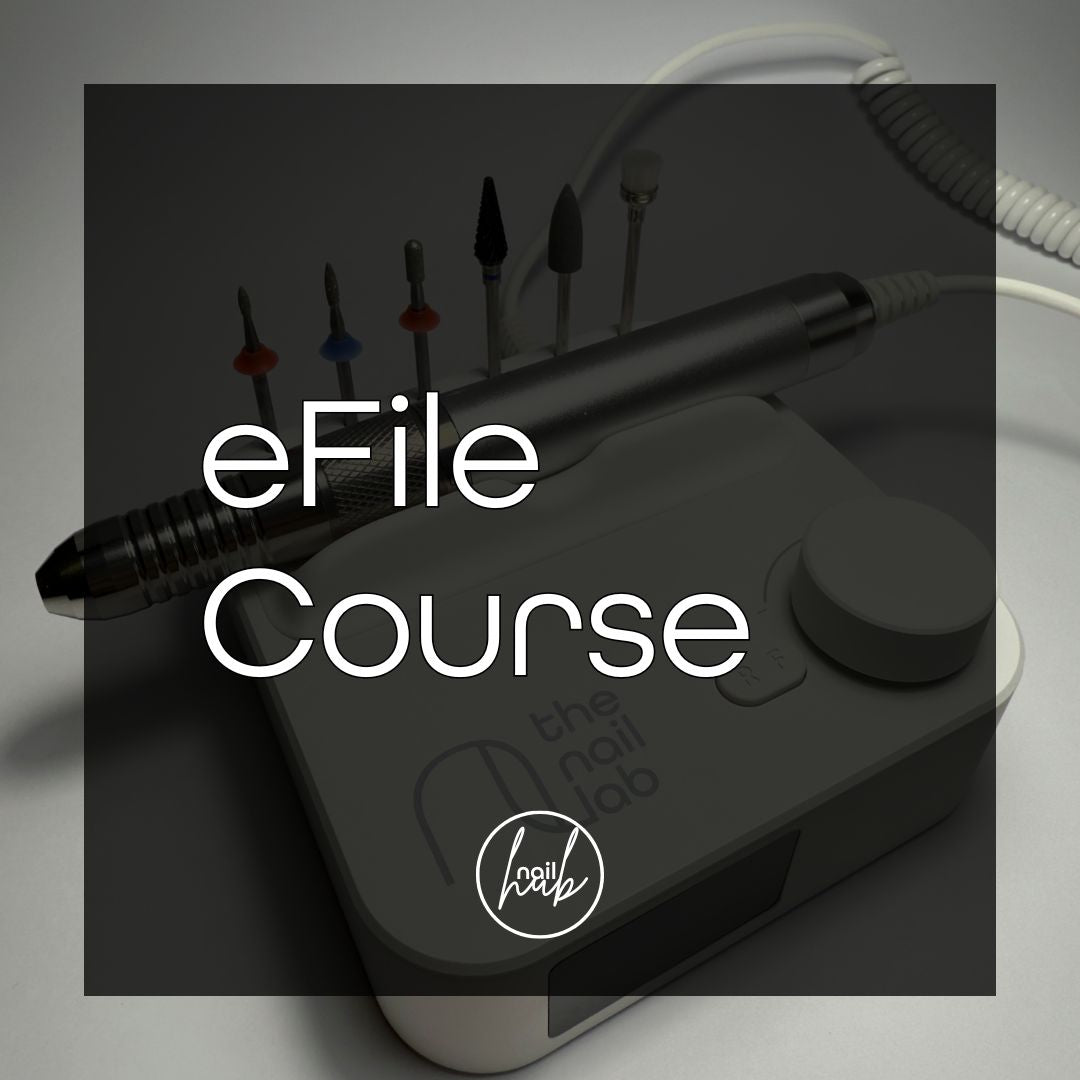 eFile Course